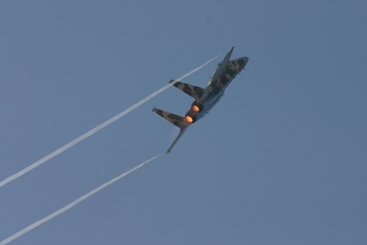 あぐれっさー (3).JPG