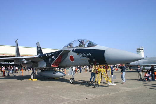 地上展示 (3).JPG