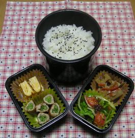 20100119にぃに