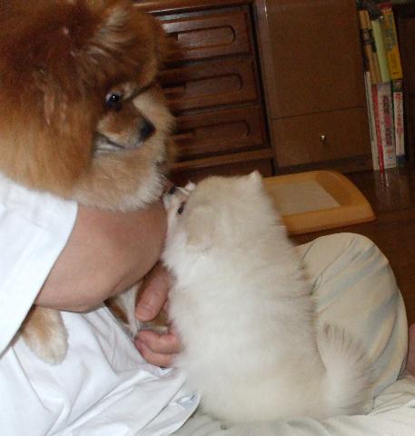 7/26あんじぇ＆みるく3