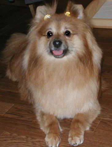 伏せしてみたよ♪