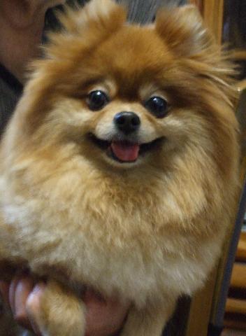 ７/２３アンジェ