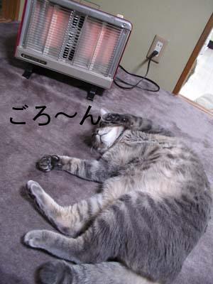 suto-bu3