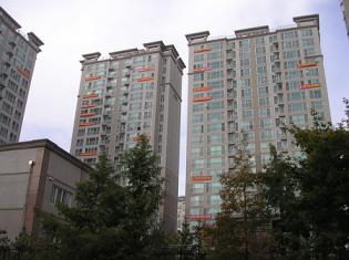 54351215.jpg