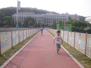 40129852.jpg