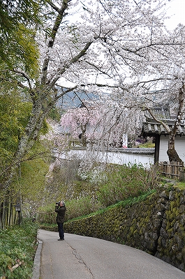 長谷寺　2010/03/31