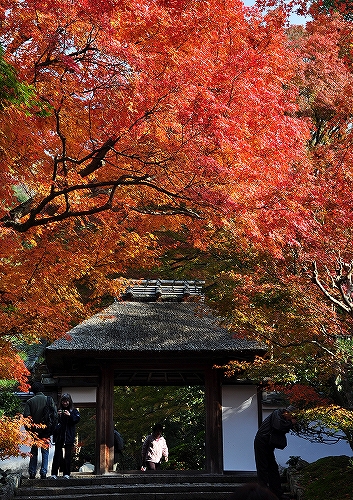 京都　安楽寺　紅葉