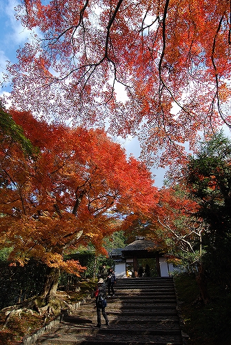 京都　安楽寺の紅葉