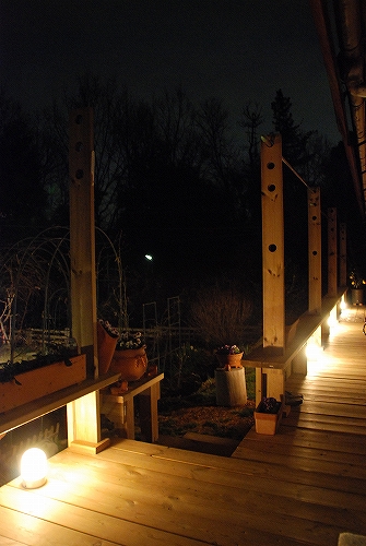 森の中にこうこうと