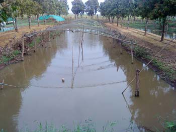 農業貯水池（溜池）