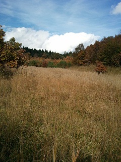 2011-11-12 14.13.52.jpg