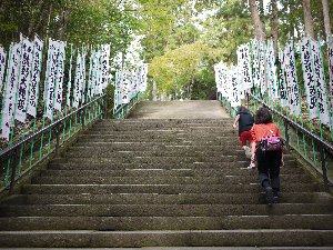 熊野本郡の階段