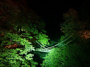 祖谷温泉のライトアップ