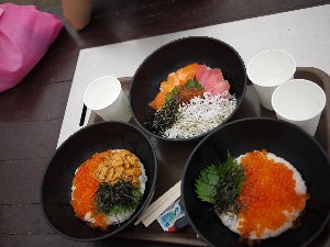 黒潮市場の丼