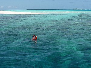 無人島でのシュノーケル