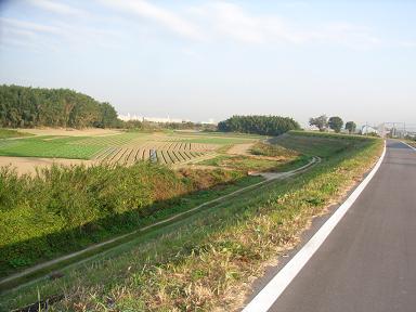 堤防の道