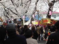 さくら祭りDSC01819.JPG