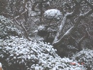 雪DSC01423.JPG