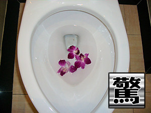 便器の中に浮かぶ花びら