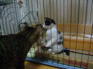 出してくれるの？