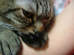 右手でモミモミ