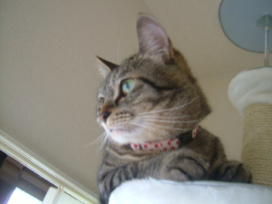 一番高いところ