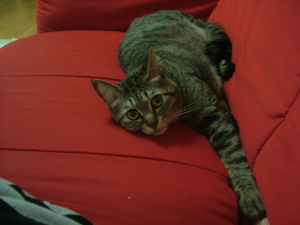 (?・・)ル(^^*)ノ タッチ