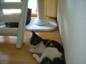 関係ないモンね～