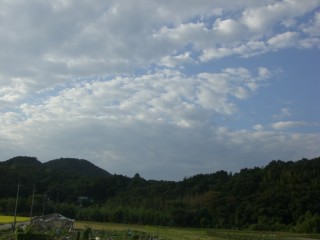 田舎の空