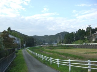 田舎道