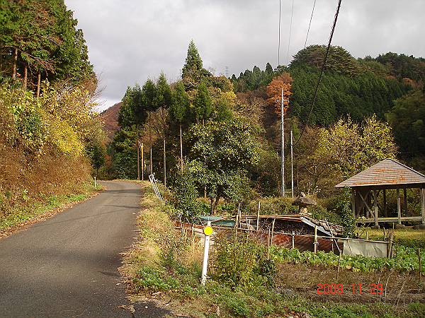 kakitani2