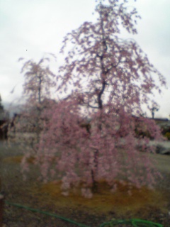 070416_171531.jpg