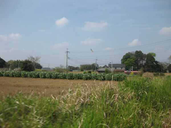 ラザロ霊園のそば