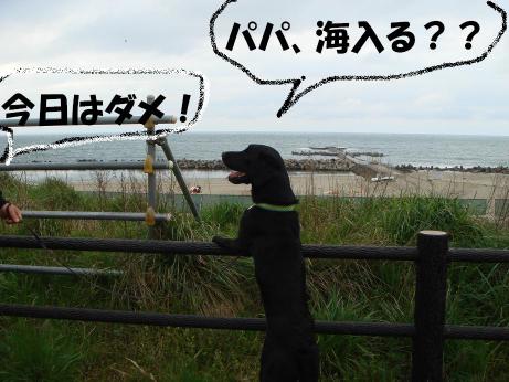 入ろうよ～～