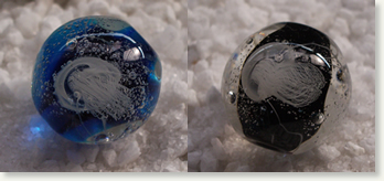 先生のクラゲ玉