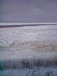流氷１