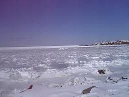 2005年流氷
