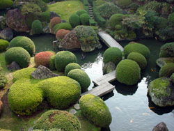 旅館の庭園