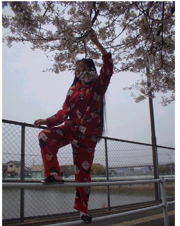 花咲かＭＩＫＡリン