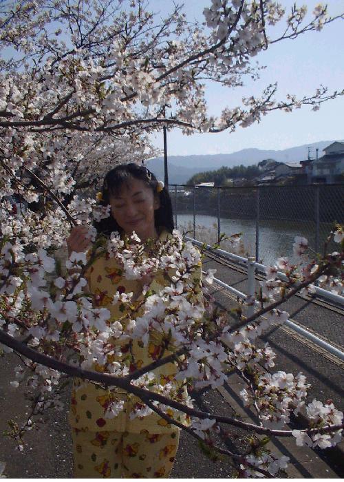 桜と一緒にニヤケるなっっ