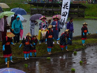 田植え１.jpg