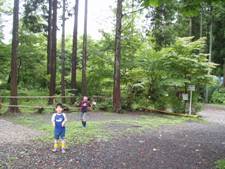 P1010262a.JPG