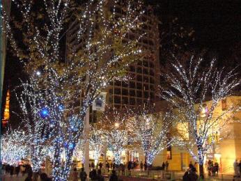 ヒルズの夜景２