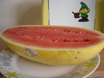 すいか.jpg