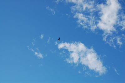 DSC_0023.jpg