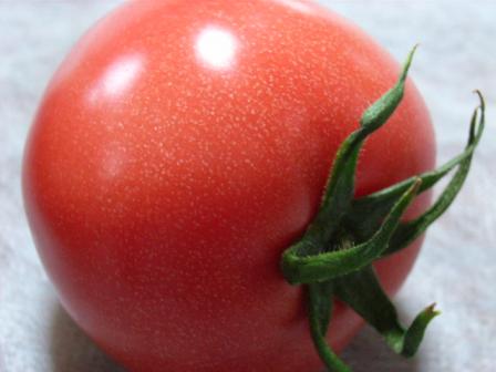 harutomato