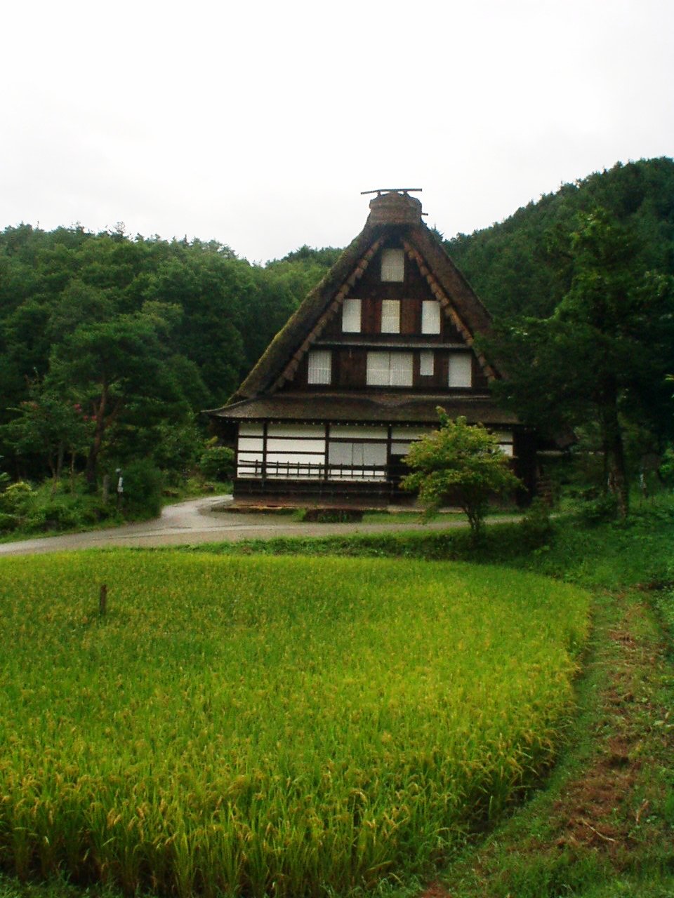 飛騨