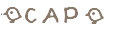 ＣＡＰロゴ