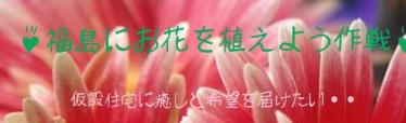 お花を植えよう作戦