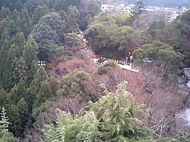 本堂から世界一の大福寅を見下ろす